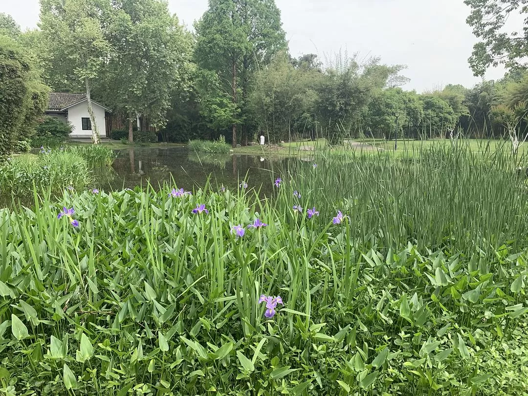 旅游推荐㊙️一人游：长沙四天三晚：成功避开五一