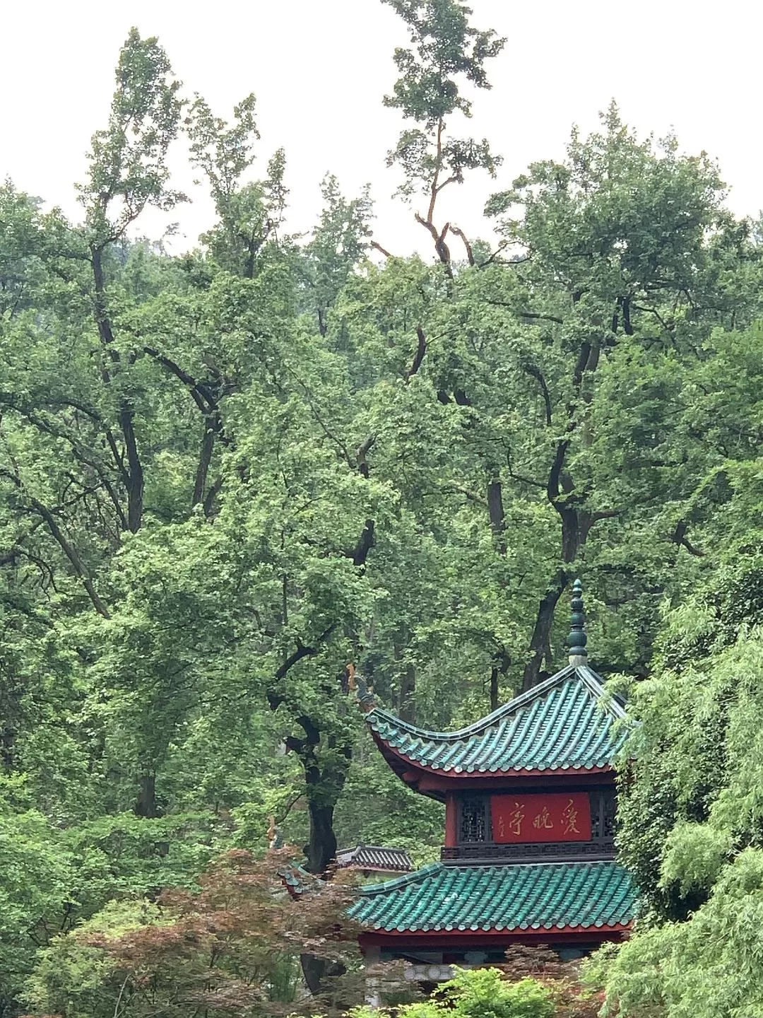 旅游推荐㊙️一人游：长沙四天三晚：成功避开五一