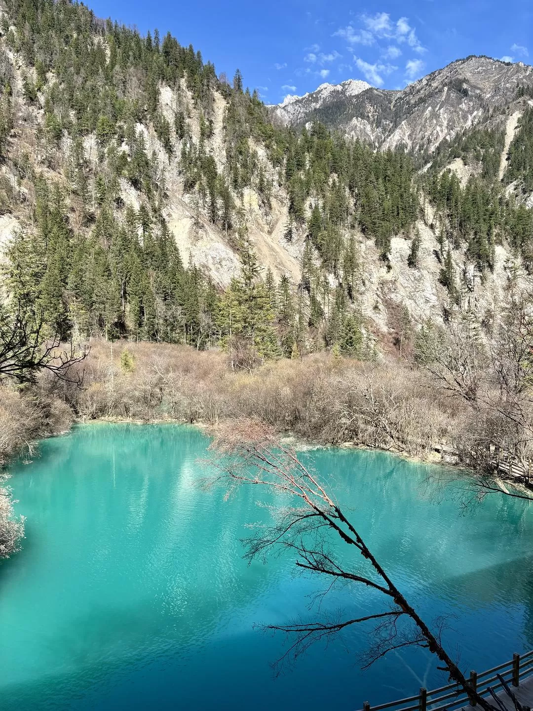 旅游推荐💥两人游：在九寨沟看到了人间仙境