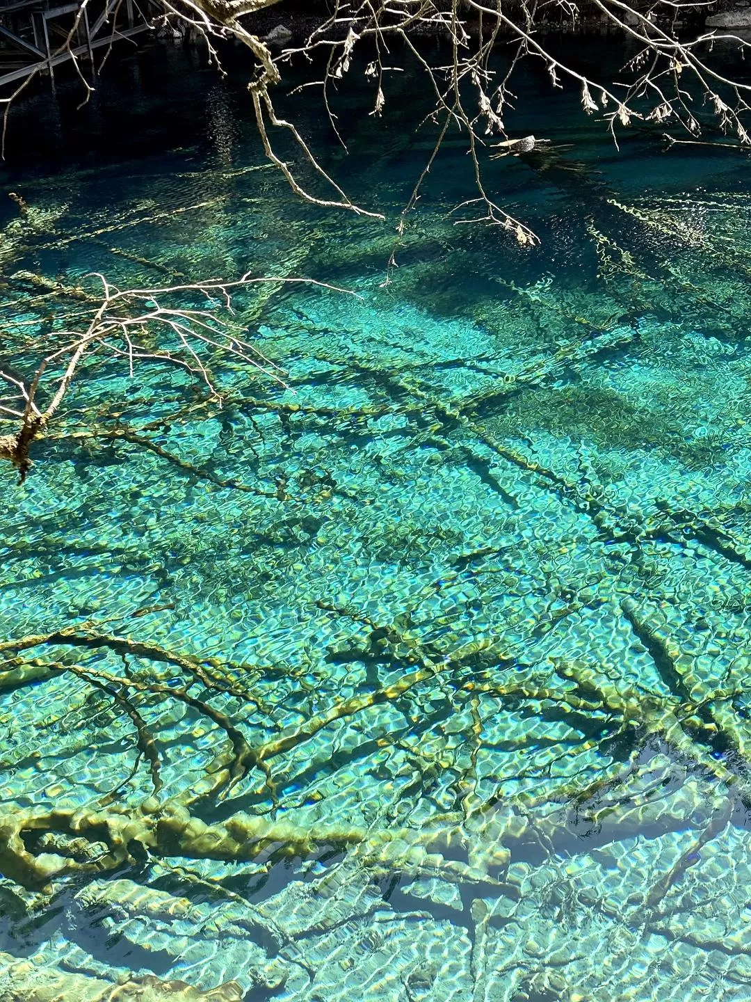 旅游推荐💥两人游：在九寨沟看到了人间仙境