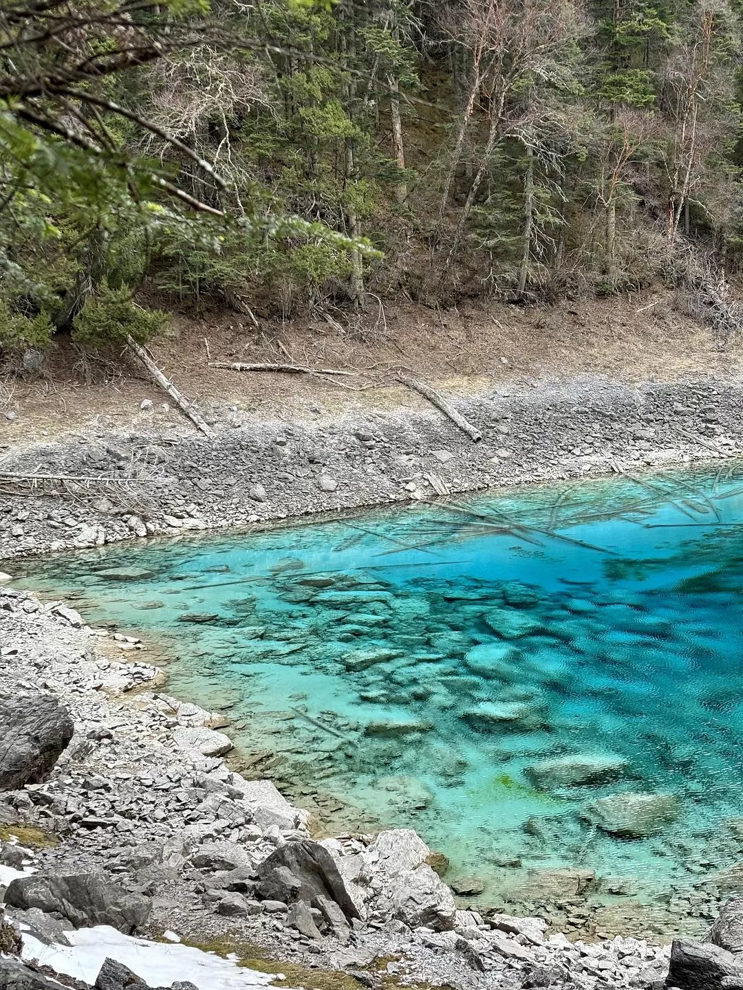 旅游推荐💥两人游：在九寨沟看到了人间仙境
