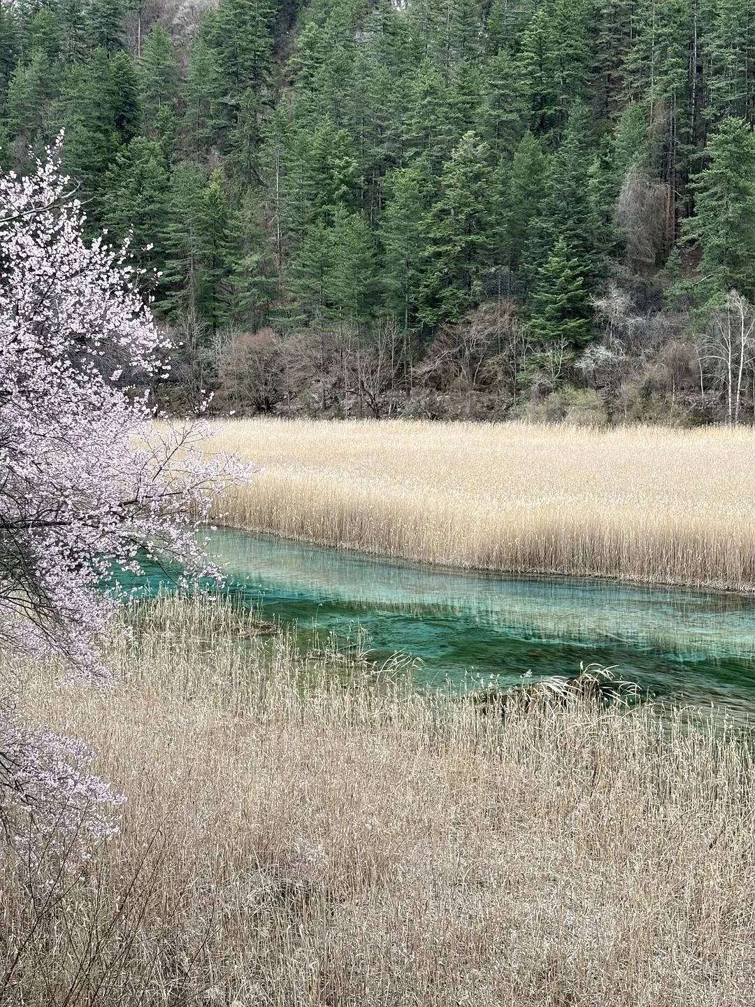 旅游推荐💥两人游：在九寨沟看到了人间仙境