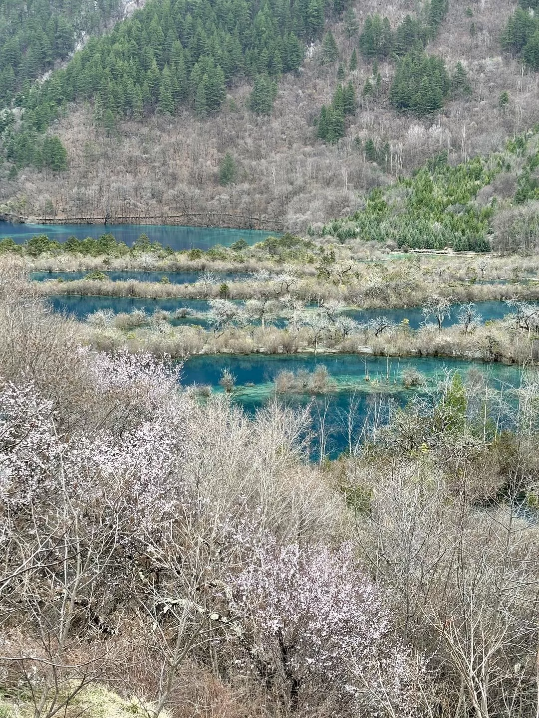 旅游推荐💥两人游：在九寨沟看到了人间仙境