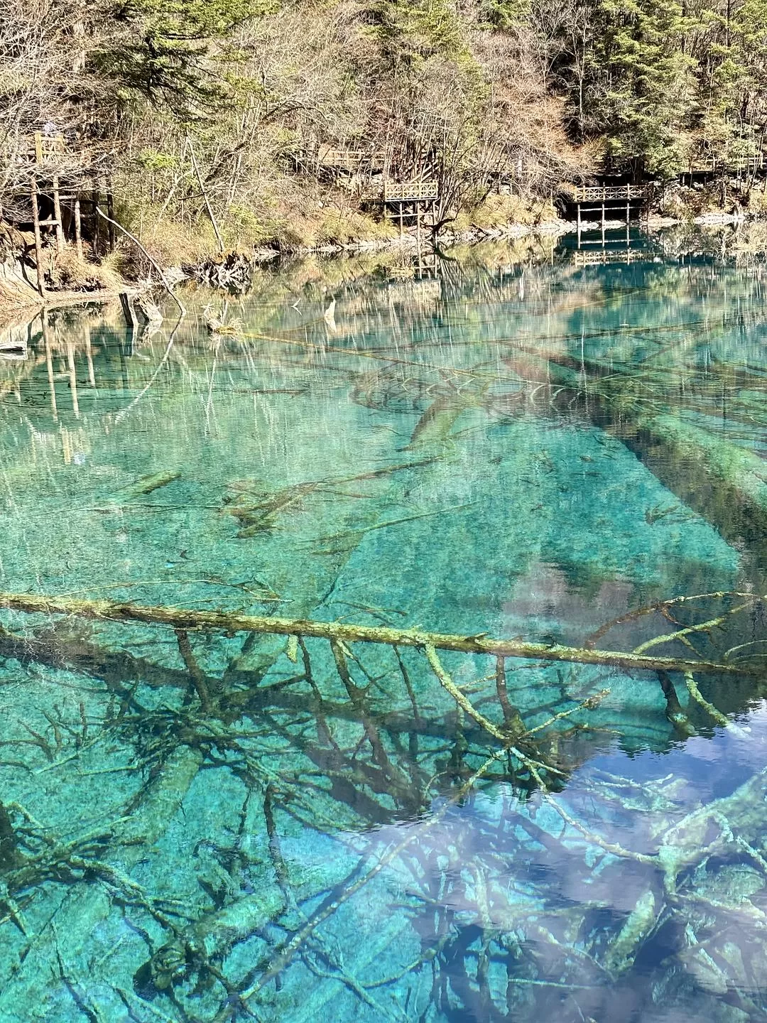 旅游推荐💥两人游：在九寨沟看到了人间仙境