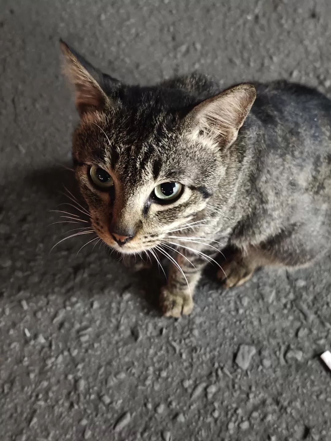 旅游推荐🈲国外游：马来西亚的山与海