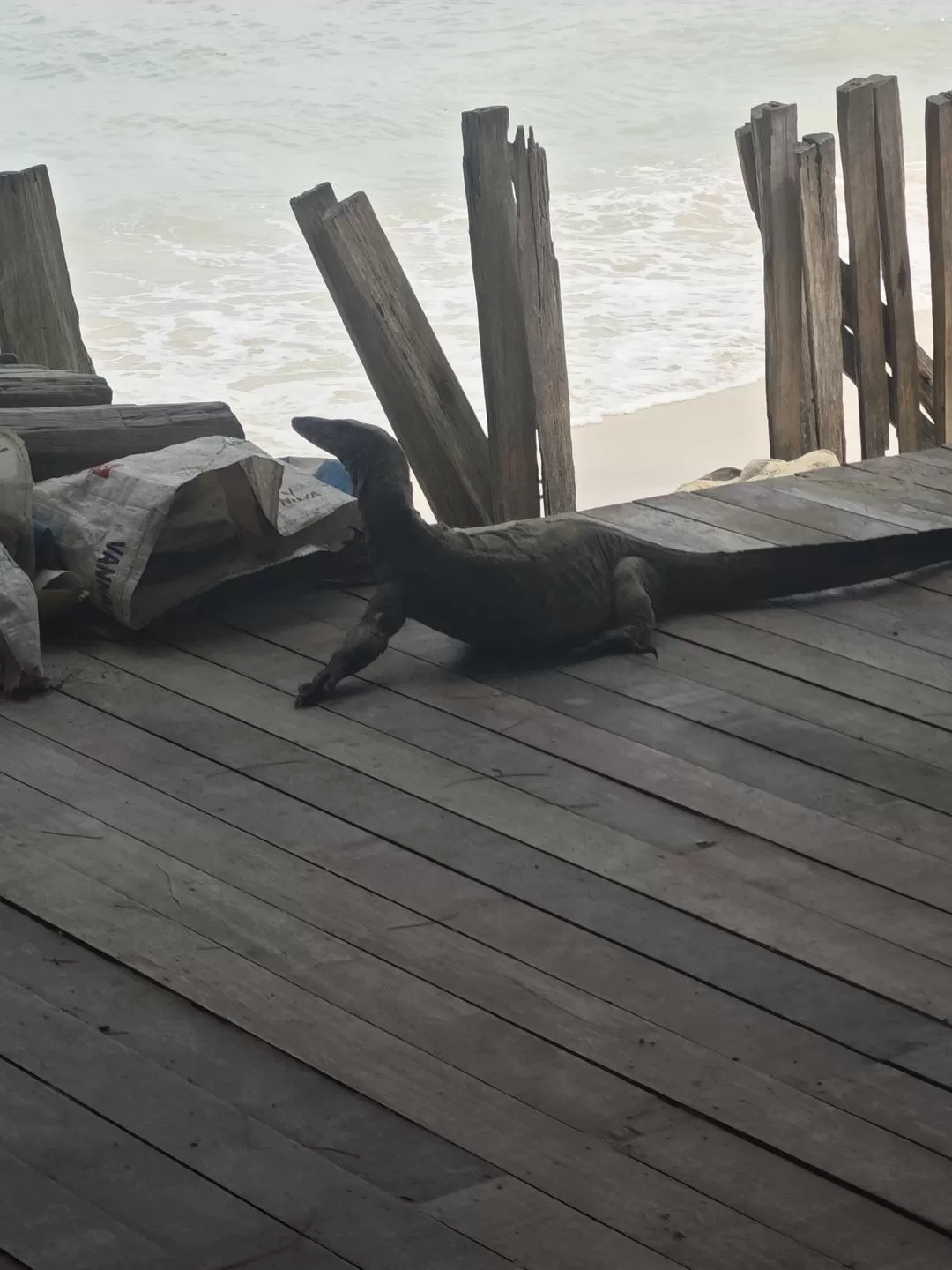 旅游推荐🈲国外游：马来西亚的山与海