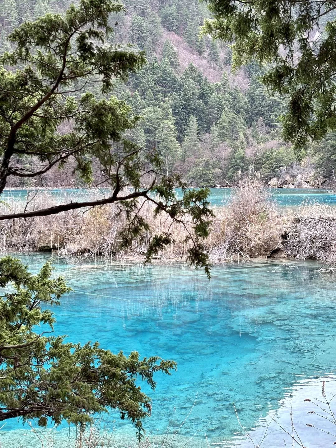 旅游推荐💥两人游：在九寨沟看到了人间仙境