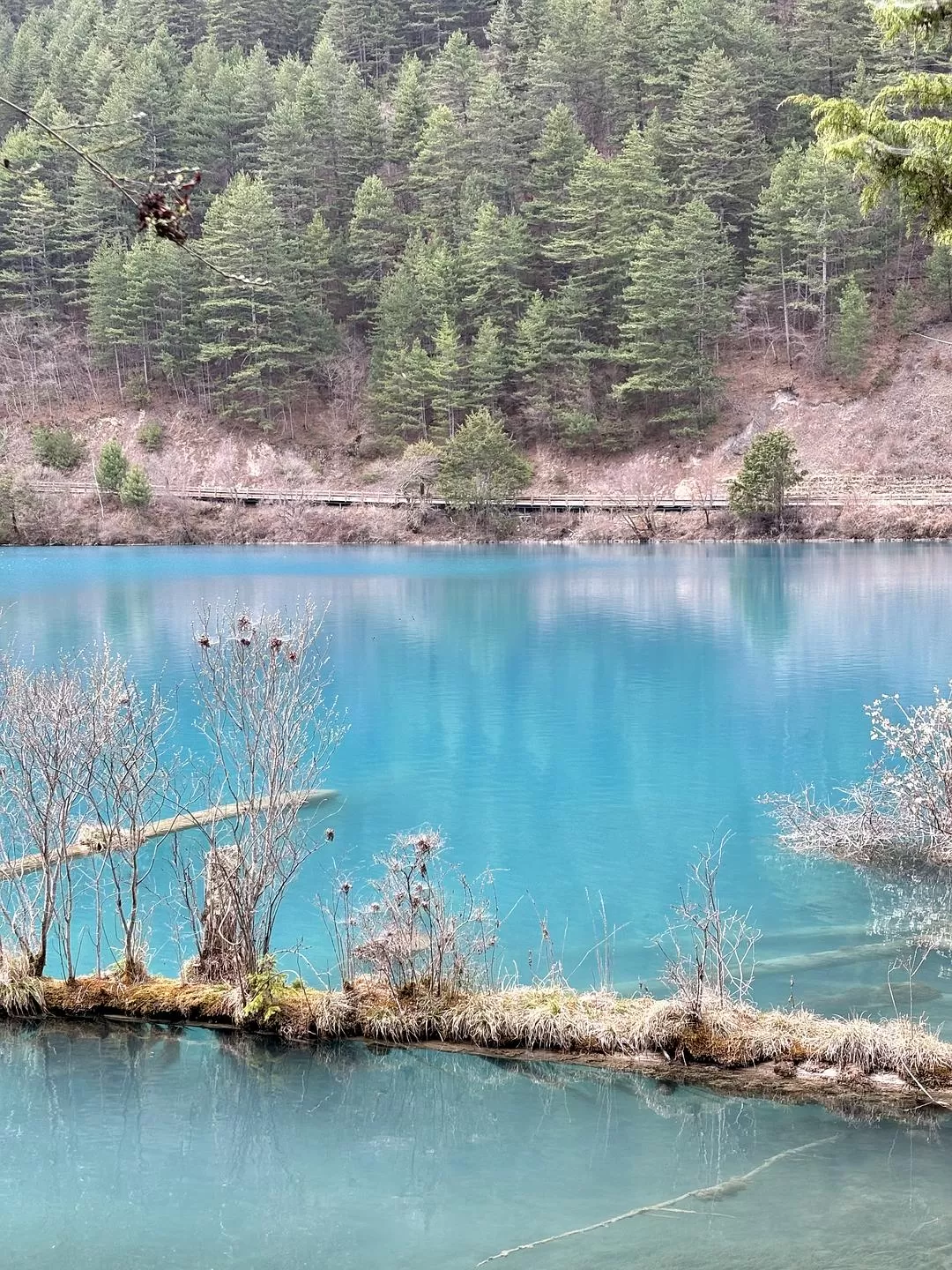 旅游推荐💥两人游：在九寨沟看到了人间仙境