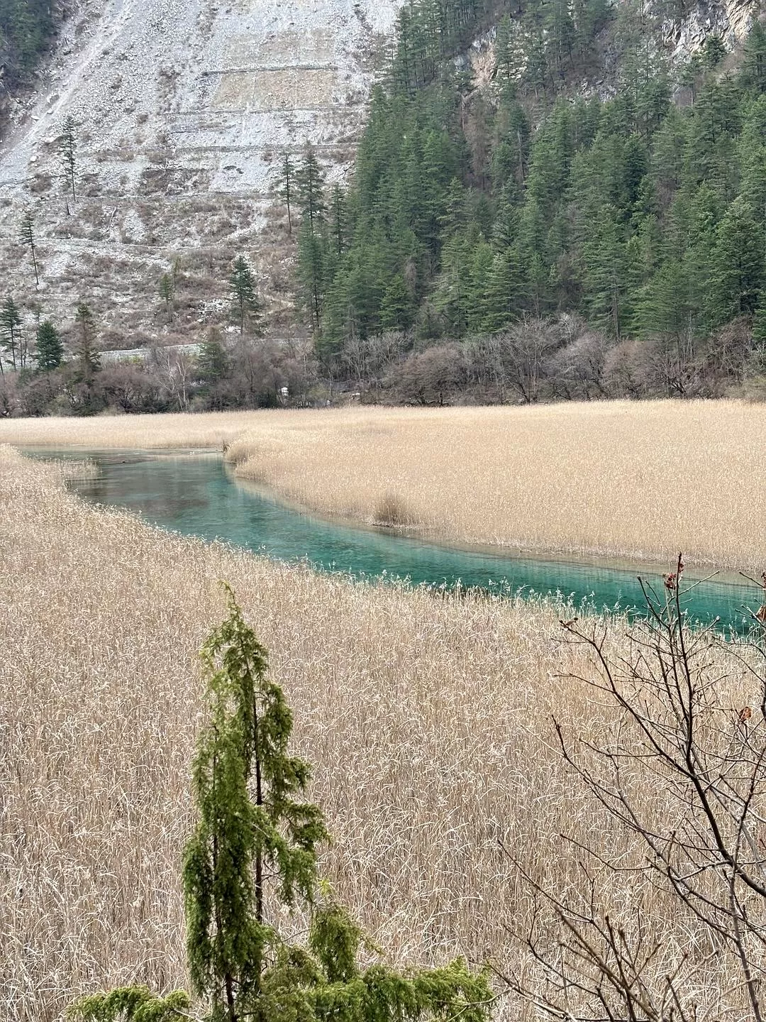 旅游推荐💥两人游：在九寨沟看到了人间仙境