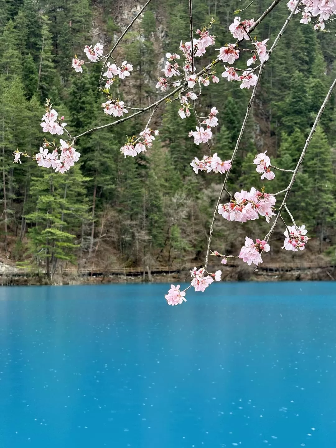 旅游推荐💥两人游：在九寨沟看到了人间仙境