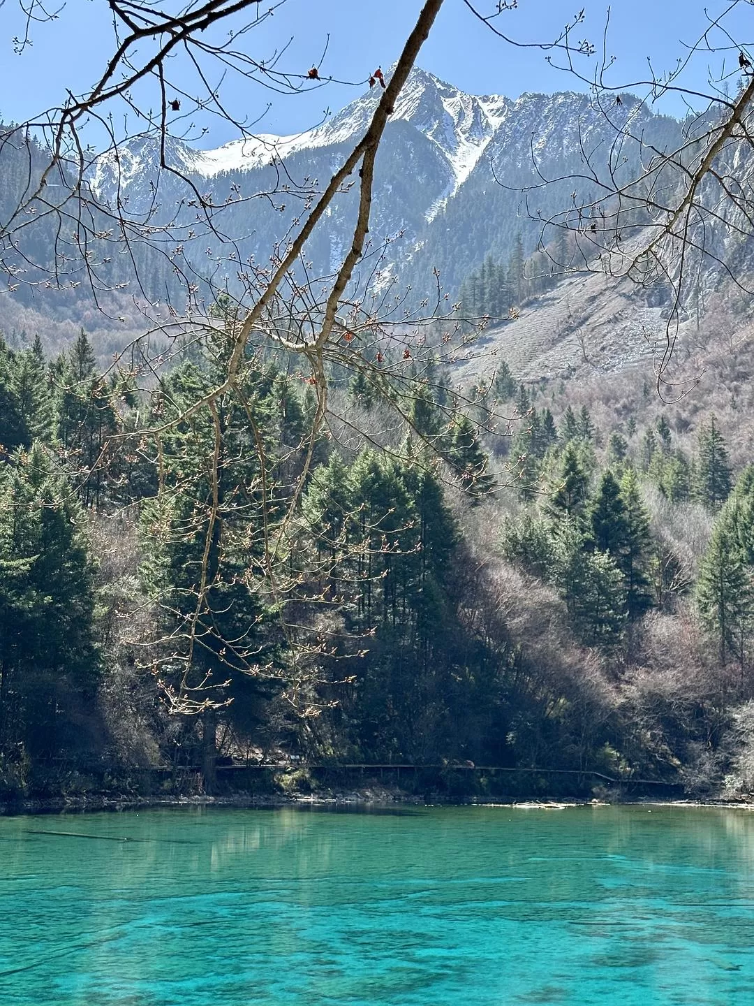 旅游推荐💥两人游：在九寨沟看到了人间仙境
