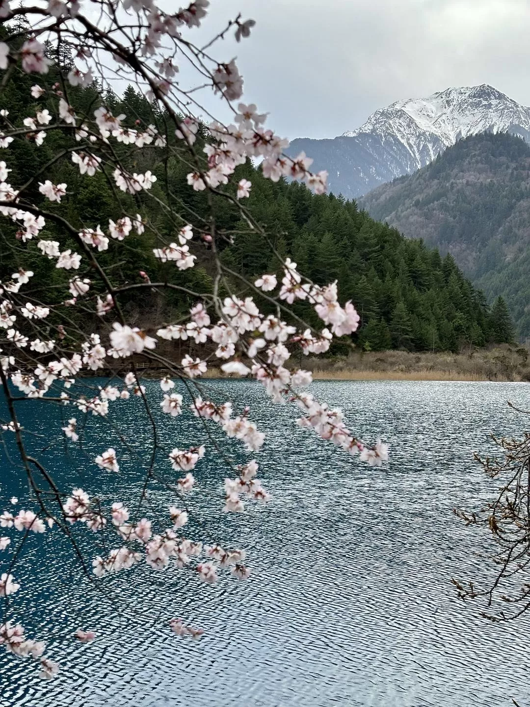 旅游推荐💥两人游：在九寨沟看到了人间仙境