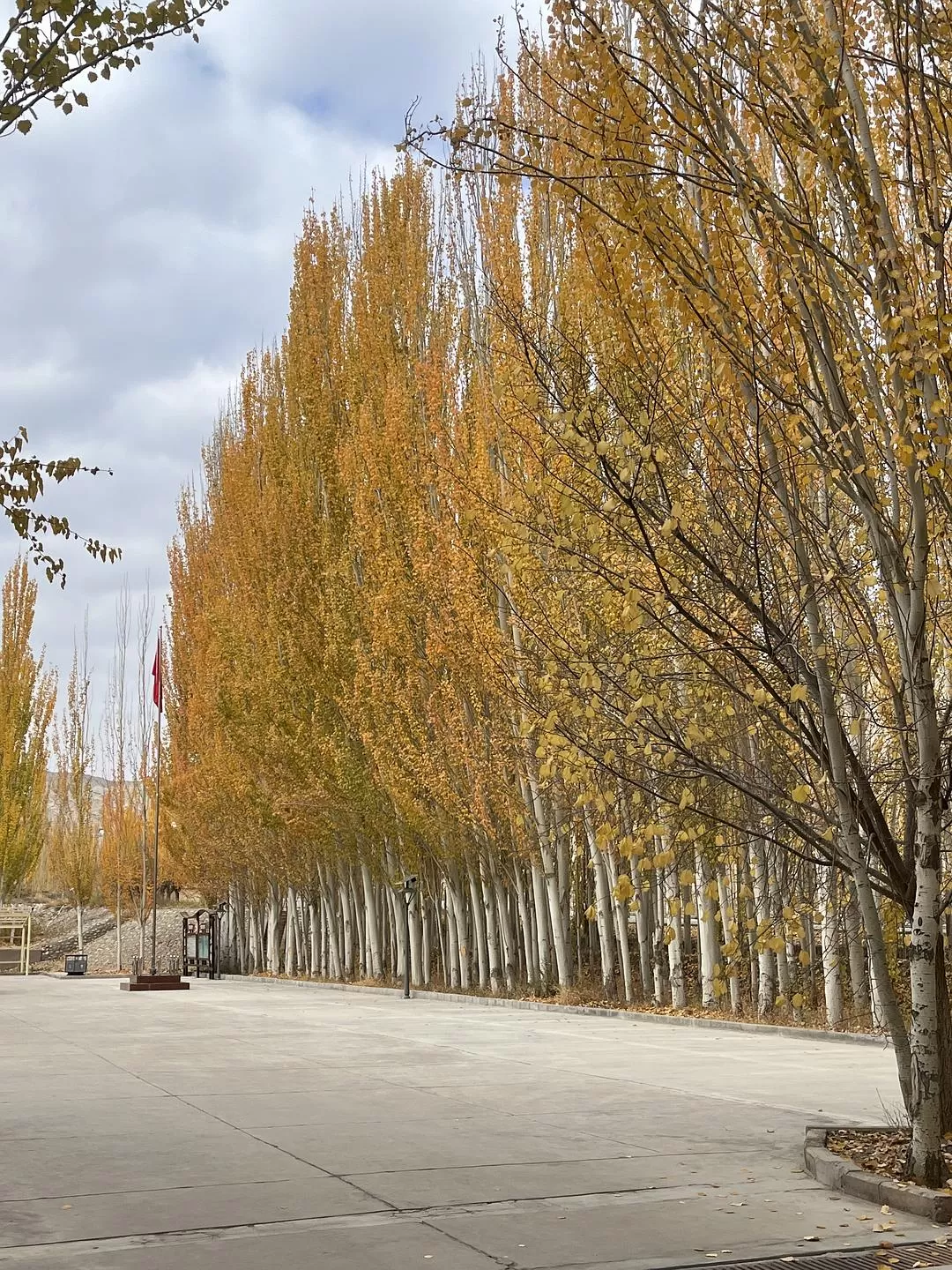 旅游推荐🔥一人游：女生独闯南疆（九天）