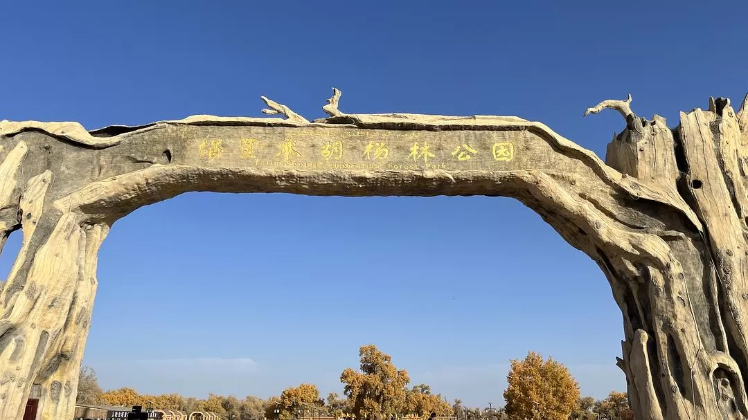 旅游推荐🔥一人游：女生独闯南疆（九天）