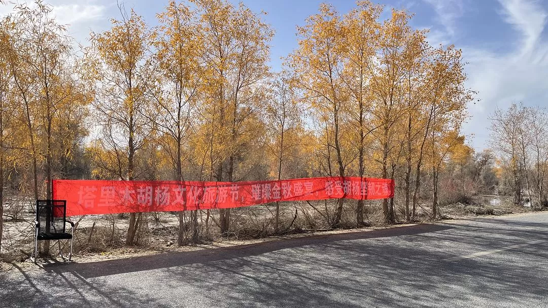 旅游推荐🔥一人游：女生独闯南疆（九天）