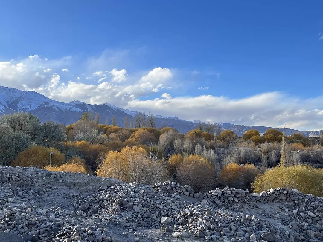 旅游推荐🔥一人游：女生独闯南疆（九天）