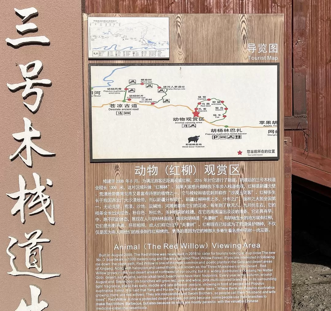 旅游推荐🔥一人游：女生独闯南疆（九天）