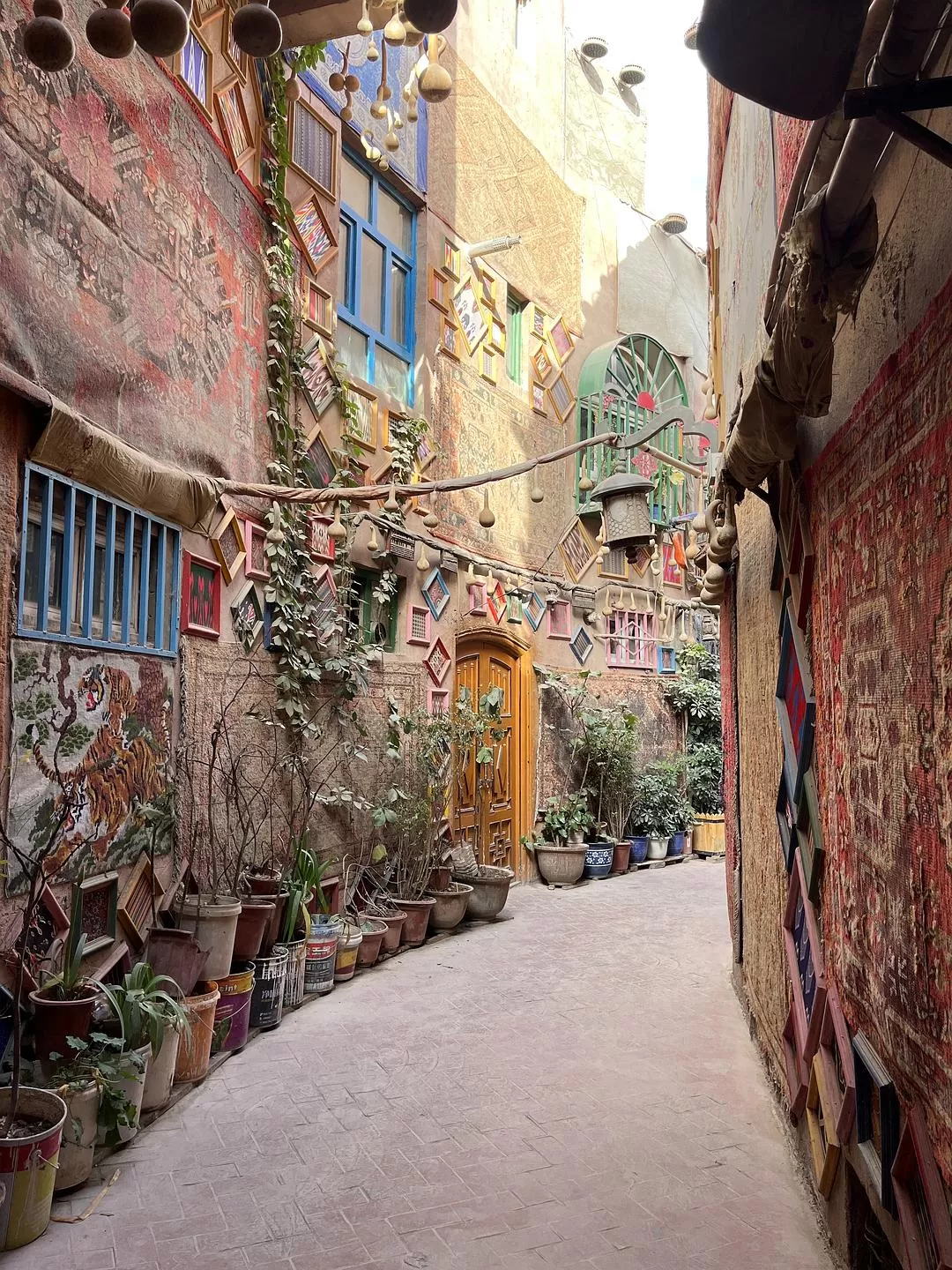 旅游推荐🔥一人游：女生独闯南疆（九天）