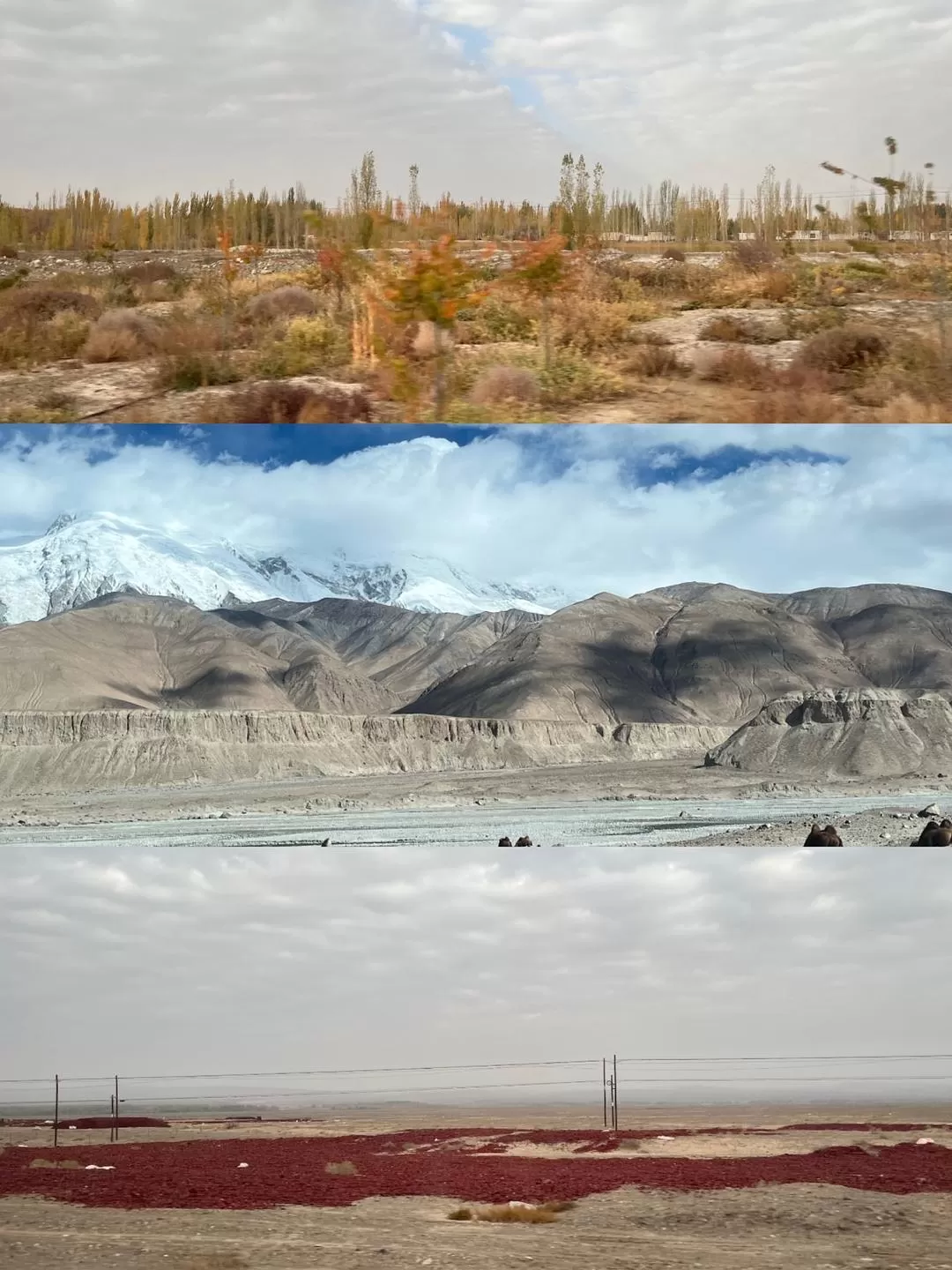 旅游推荐🔥一人游：女生独闯南疆（九天）