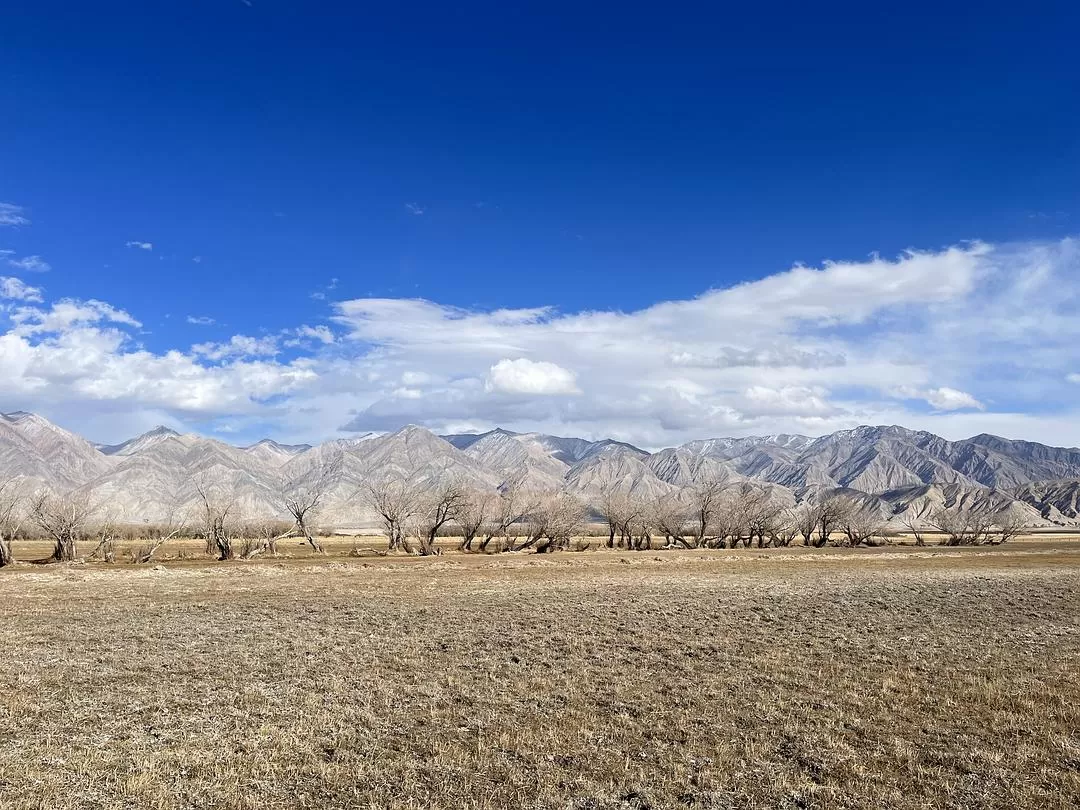 旅游推荐🔥一人游：女生独闯南疆（九天）