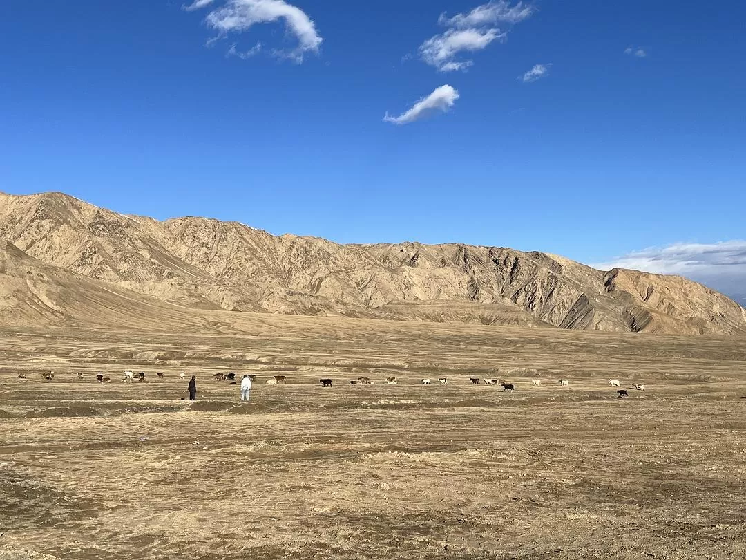 旅游推荐🔥一人游：女生独闯南疆（九天）