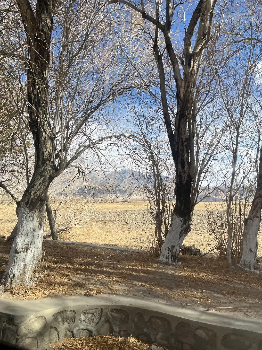 旅游推荐🔥一人游：女生独闯南疆（九天）