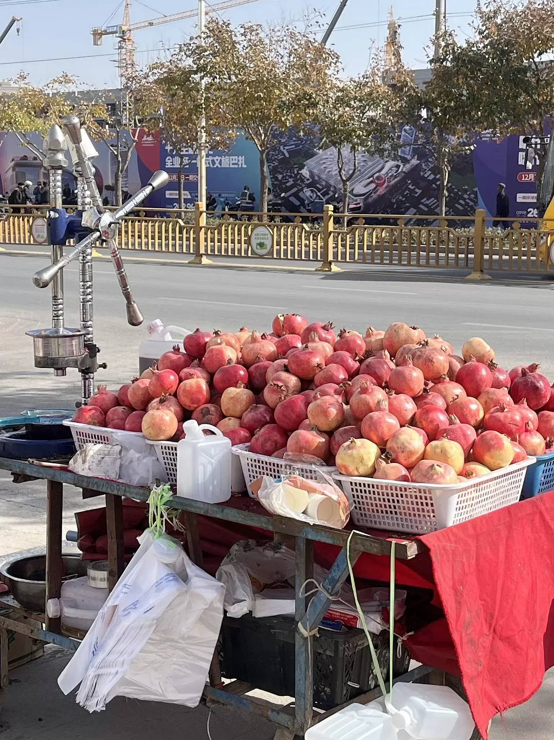 旅游推荐🔥一人游：女生独闯南疆（九天）