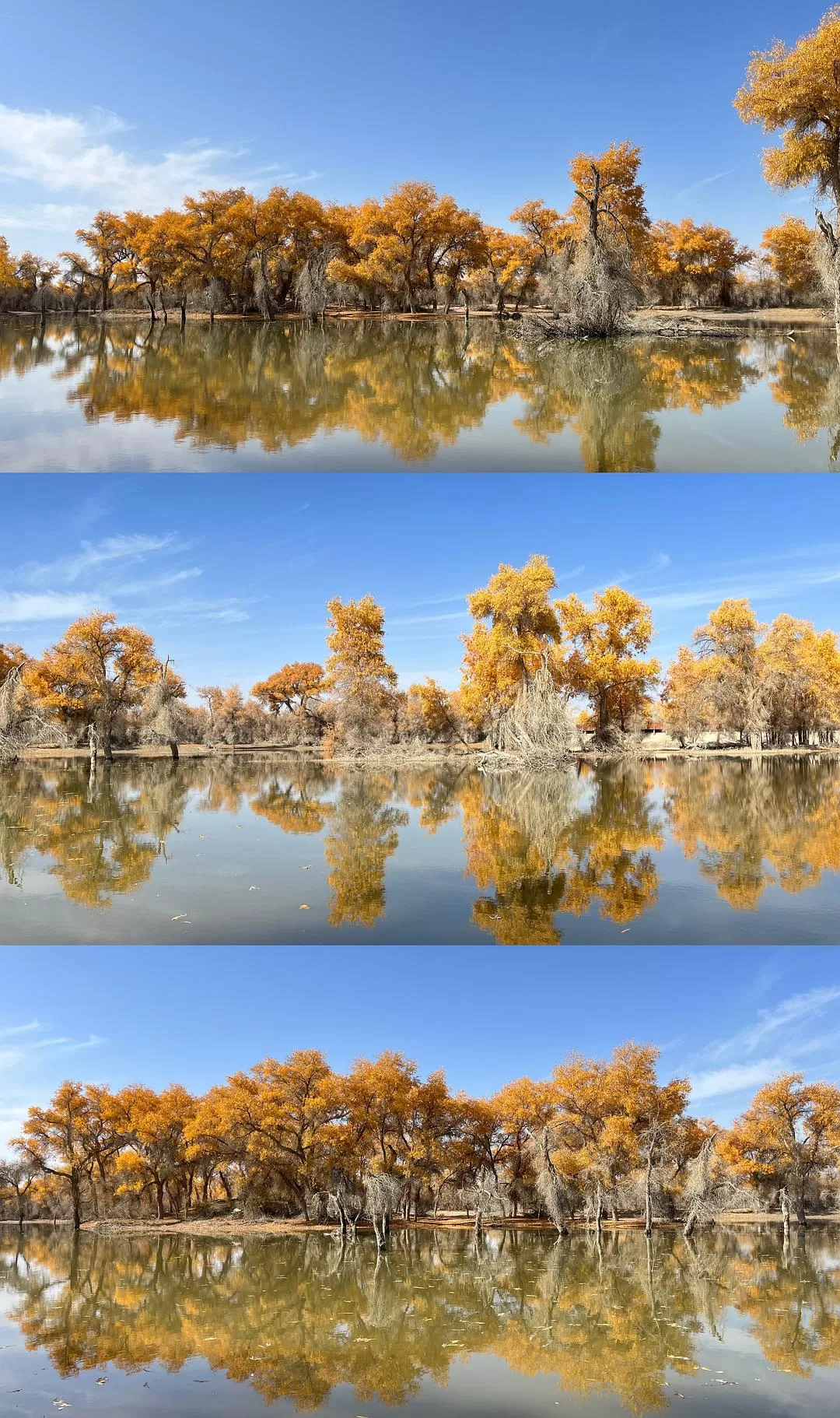 旅游推荐🔥一人游：女生独闯南疆（九天）