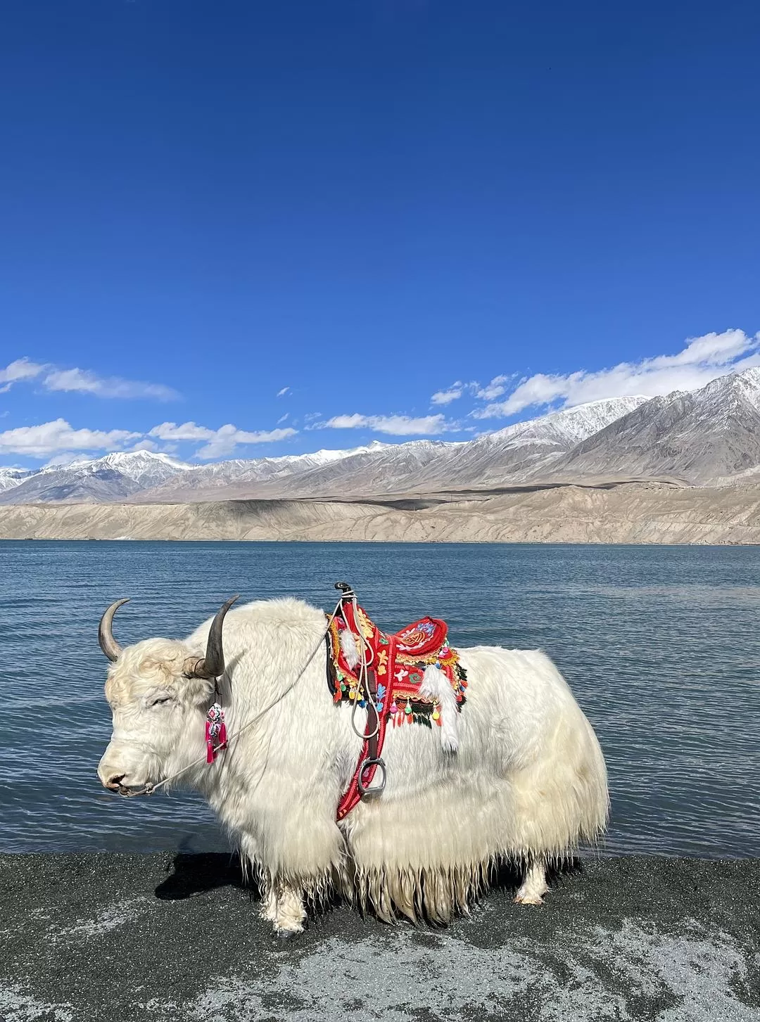 旅游推荐🔥一人游：女生独闯南疆（九天）