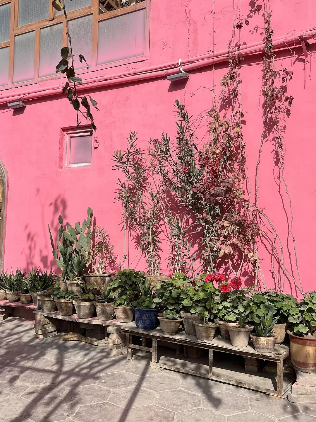 旅游推荐🔥一人游：女生独闯南疆（九天）