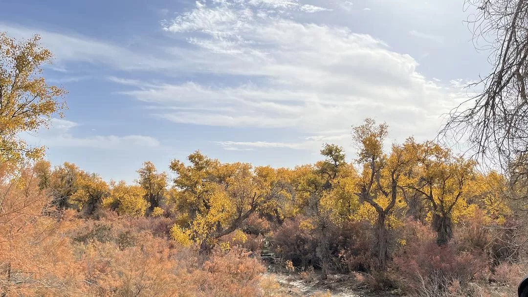 旅游推荐🔥一人游：女生独闯南疆（九天）