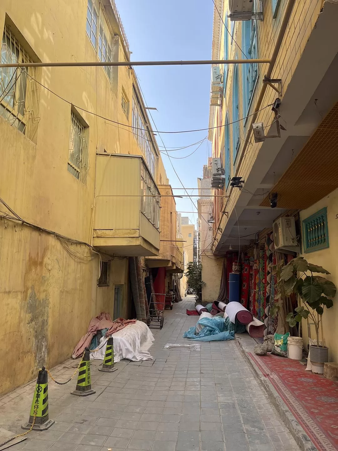 旅游推荐🔥一人游：女生独闯南疆（九天）