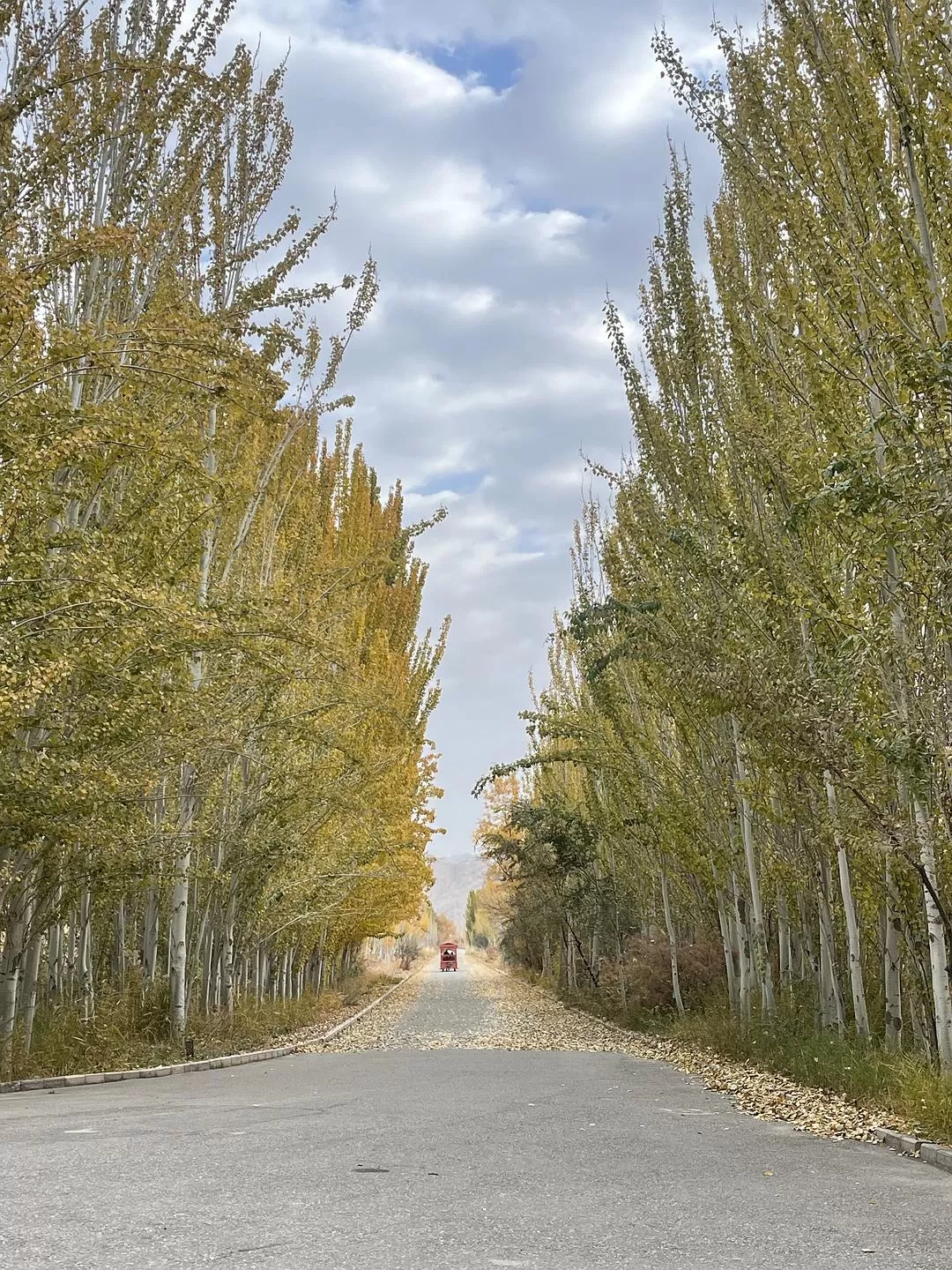 旅游推荐🔥一人游：女生独闯南疆（九天）