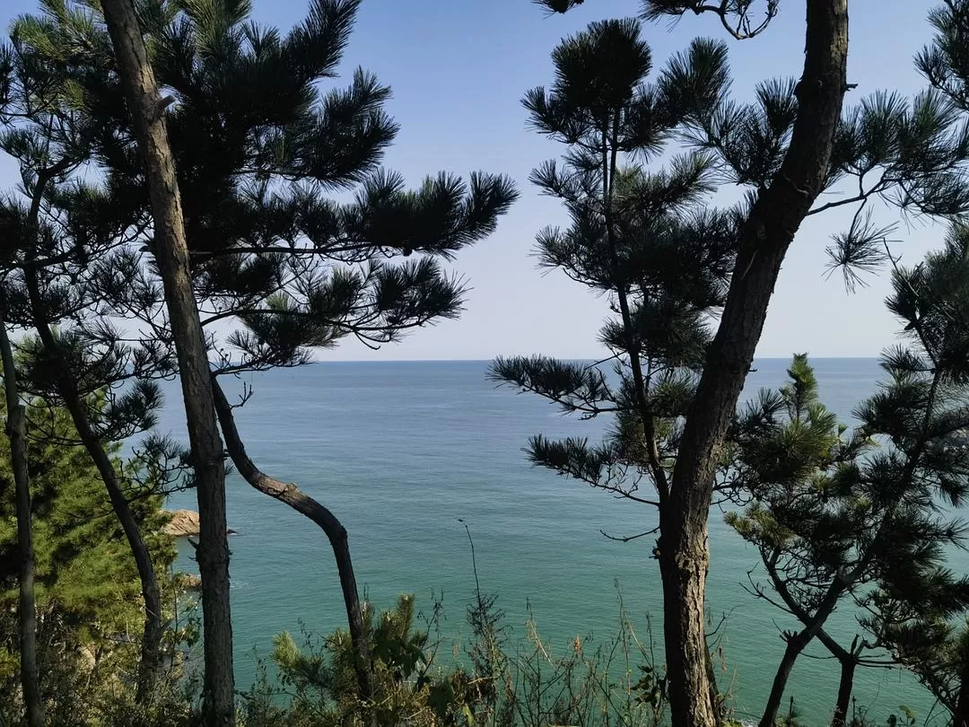 旅游推荐💞两人游：妈妈从没见过蓝色的大海，所以我带她来了威海和烟台