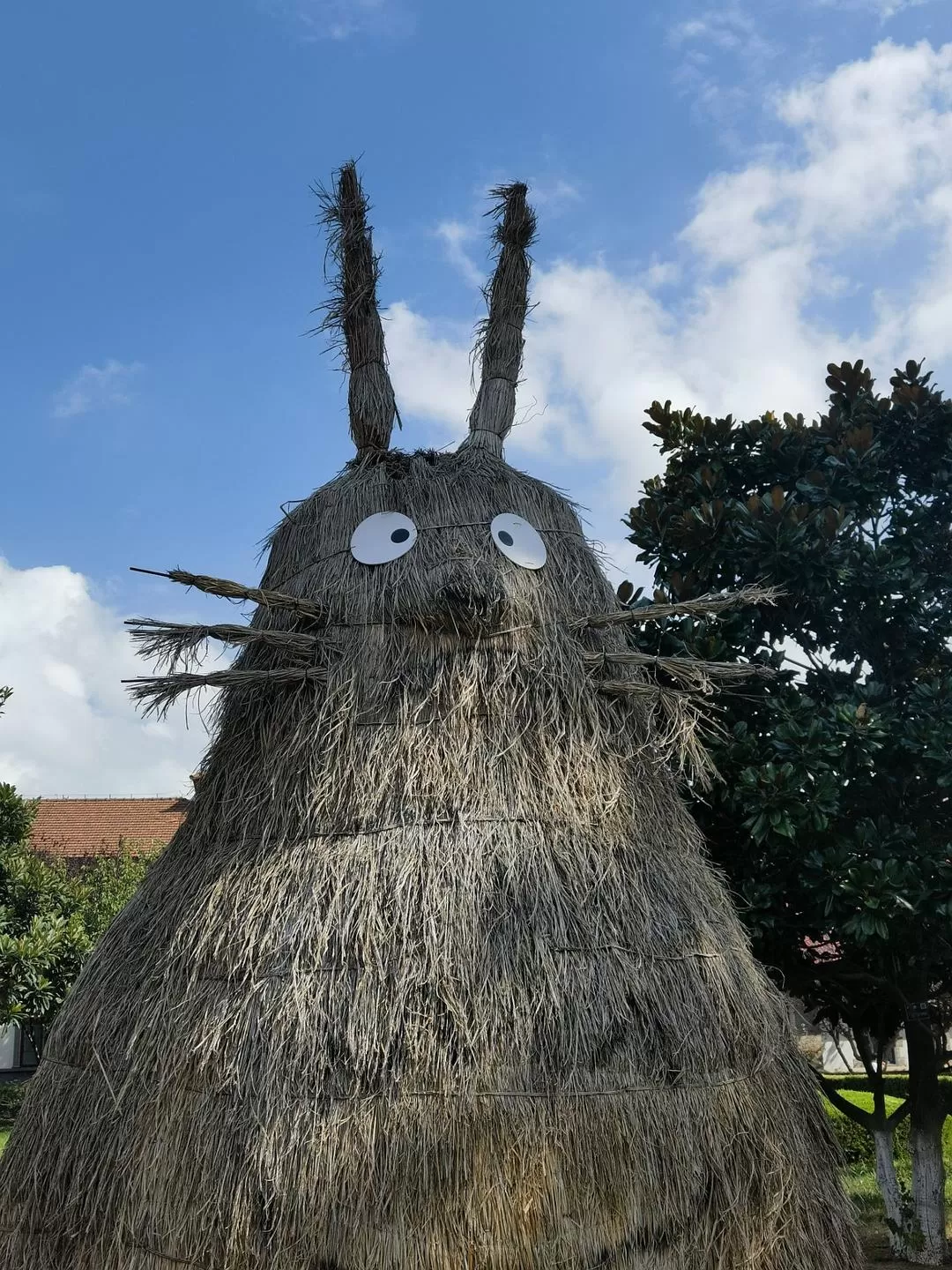 旅游推荐💞两人游：妈妈从没见过蓝色的大海，所以我带她来了威海和烟台