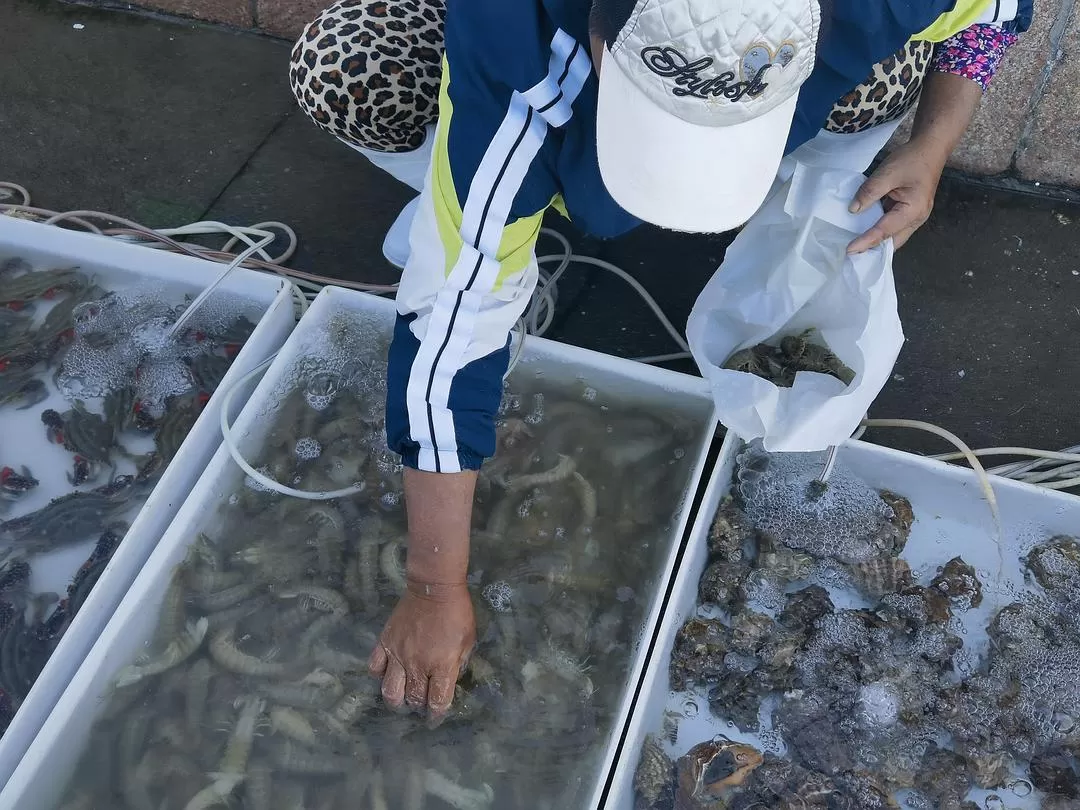 旅游推荐💞两人游：妈妈从没见过蓝色的大海，所以我带她来了威海和烟台