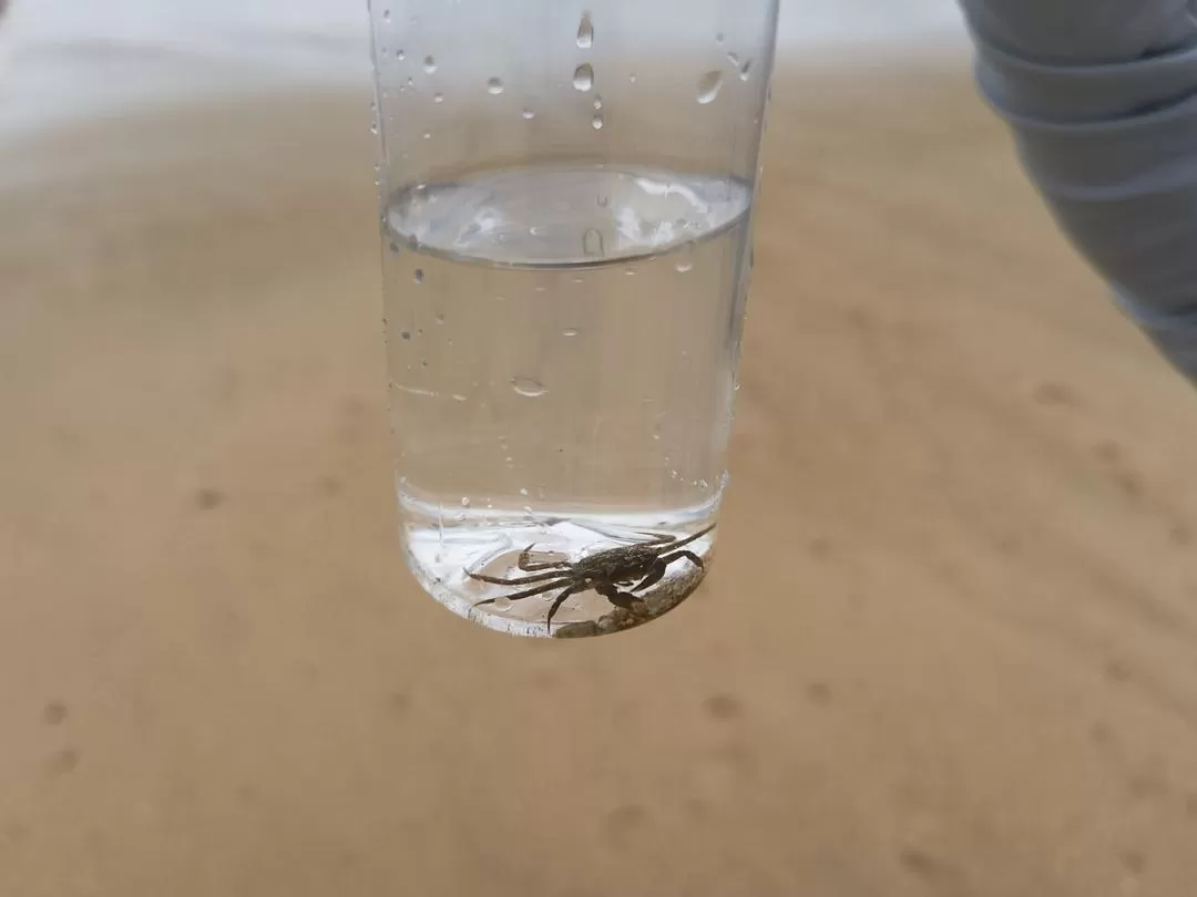 旅游推荐💞两人游：妈妈从没见过蓝色的大海，所以我带她来了威海和烟台