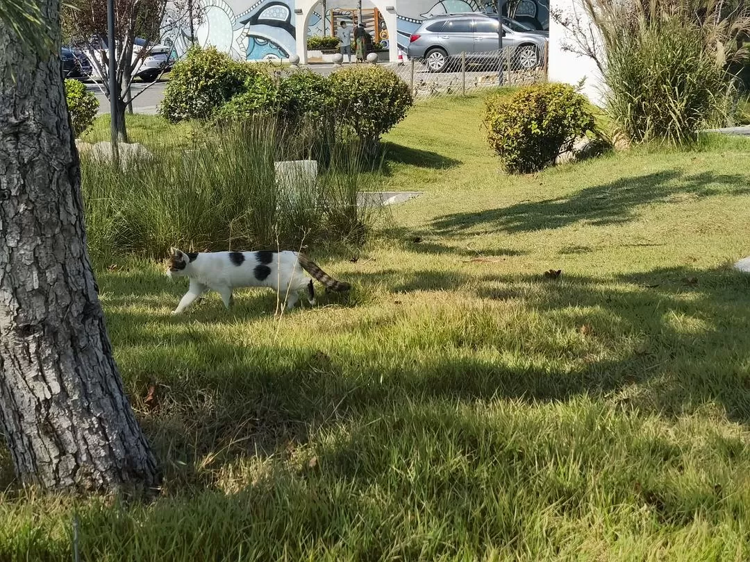 旅游推荐💞两人游：妈妈从没见过蓝色的大海，所以我带她来了威海和烟台