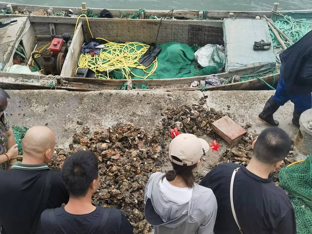 旅游推荐💞两人游：妈妈从没见过蓝色的大海，所以我带她来了威海和烟台