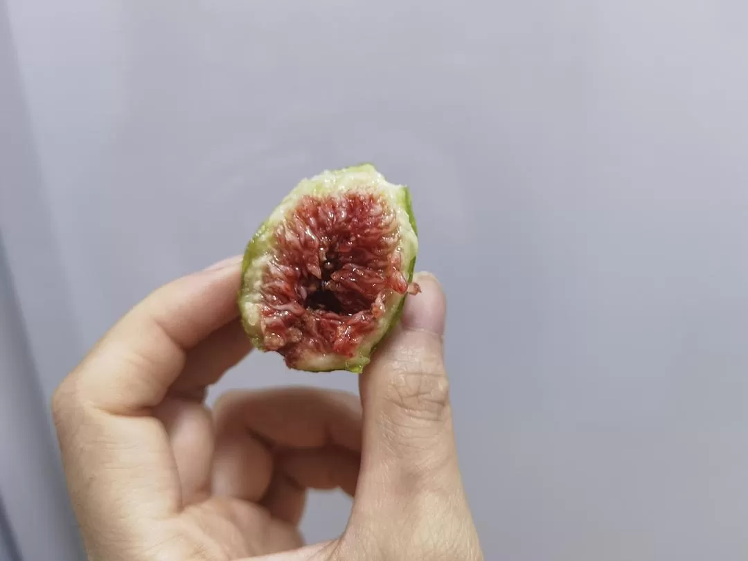 旅游推荐💞两人游：妈妈从没见过蓝色的大海，所以我带她来了威海和烟台