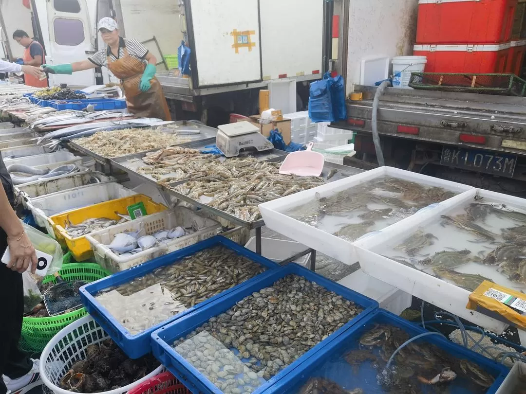 旅游推荐💞两人游：妈妈从没见过蓝色的大海，所以我带她来了威海和烟台