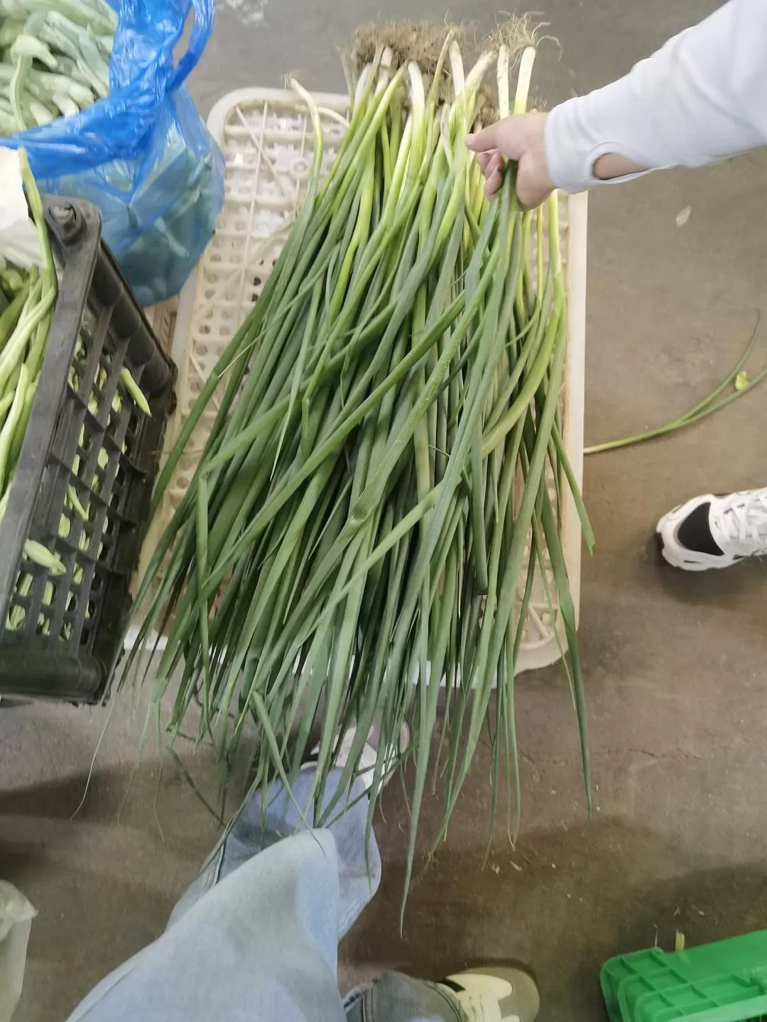 旅游推荐💞两人游：妈妈从没见过蓝色的大海，所以我带她来了威海和烟台