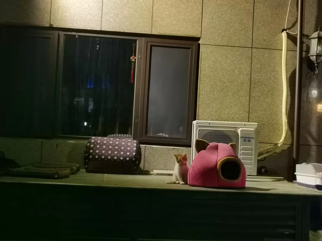 旅游推荐💞两人游：妈妈从没见过蓝色的大海，所以我带她来了威海和烟台