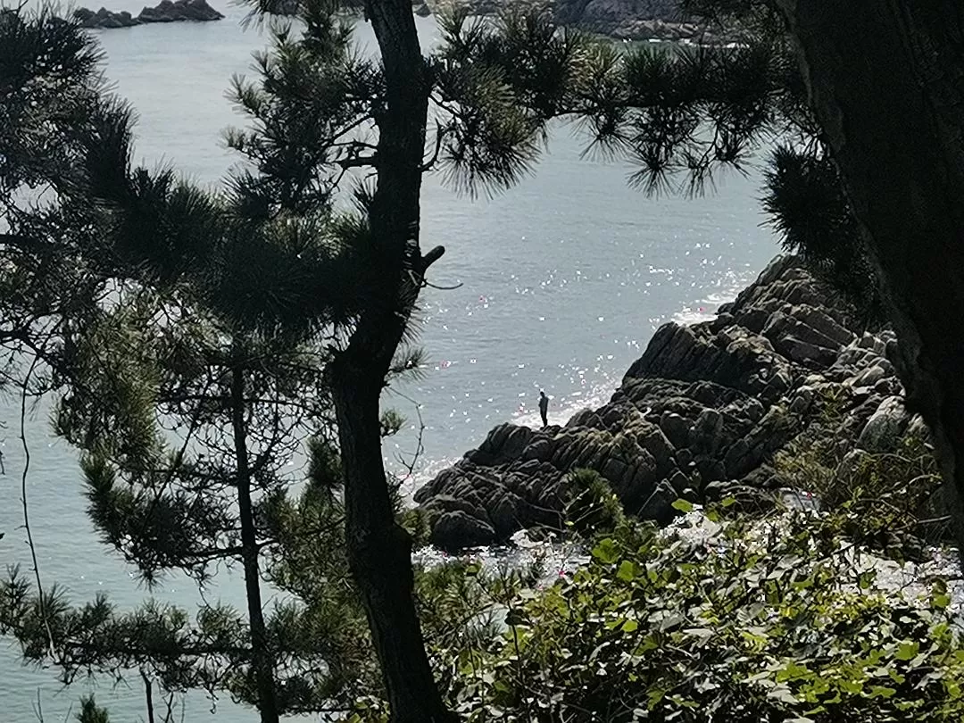旅游推荐💞两人游：妈妈从没见过蓝色的大海，所以我带她来了威海和烟台