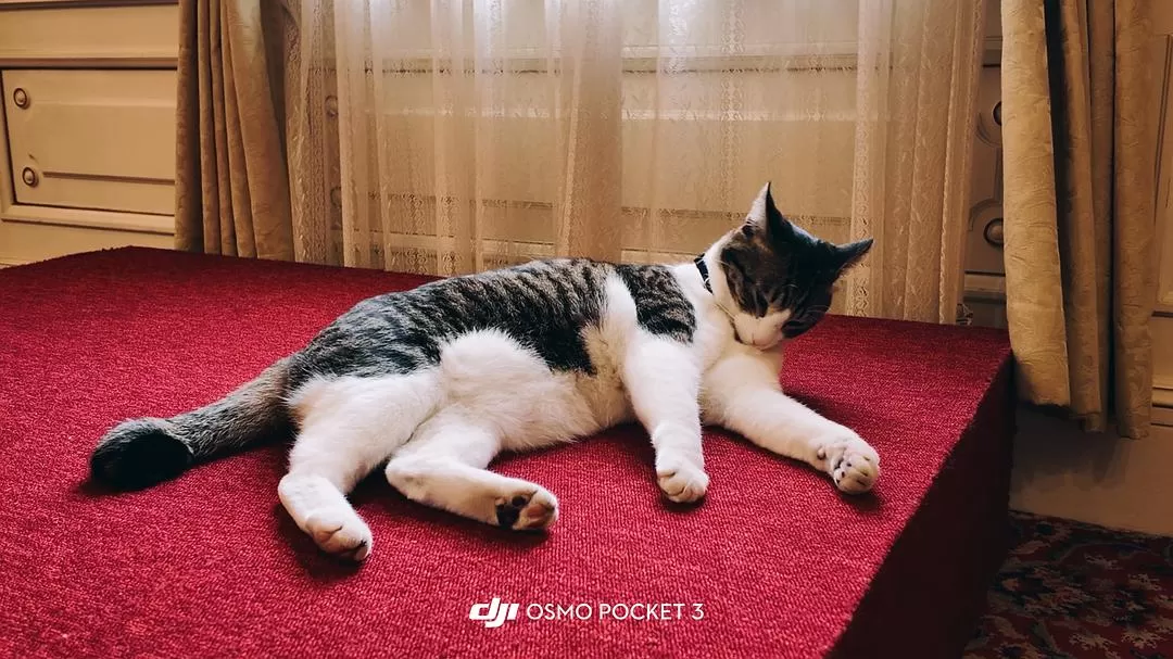 旅游推荐💓一人游：在日本乡下的短暂逃避（松山➡️广岛）