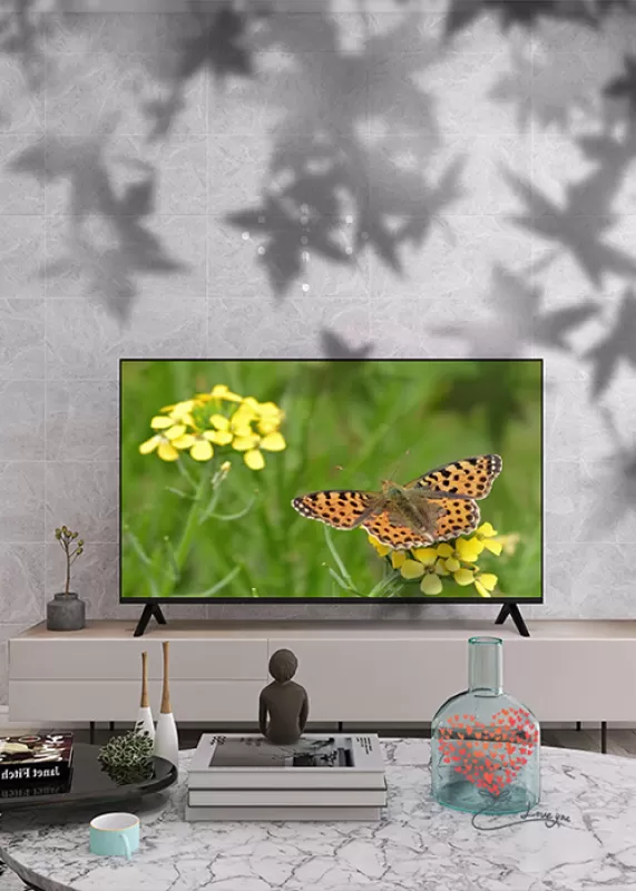 🏆TCL雷鸟鹤6Pro智能4K液晶电视75寸评测雷鸟液晶电视怎么样?