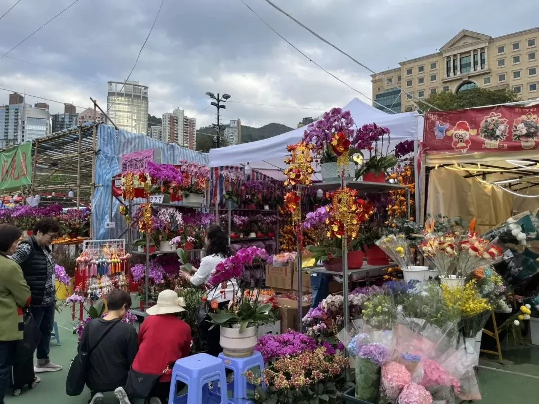 旅游推荐🥇一人游：香港三日游，美好得像一场电影