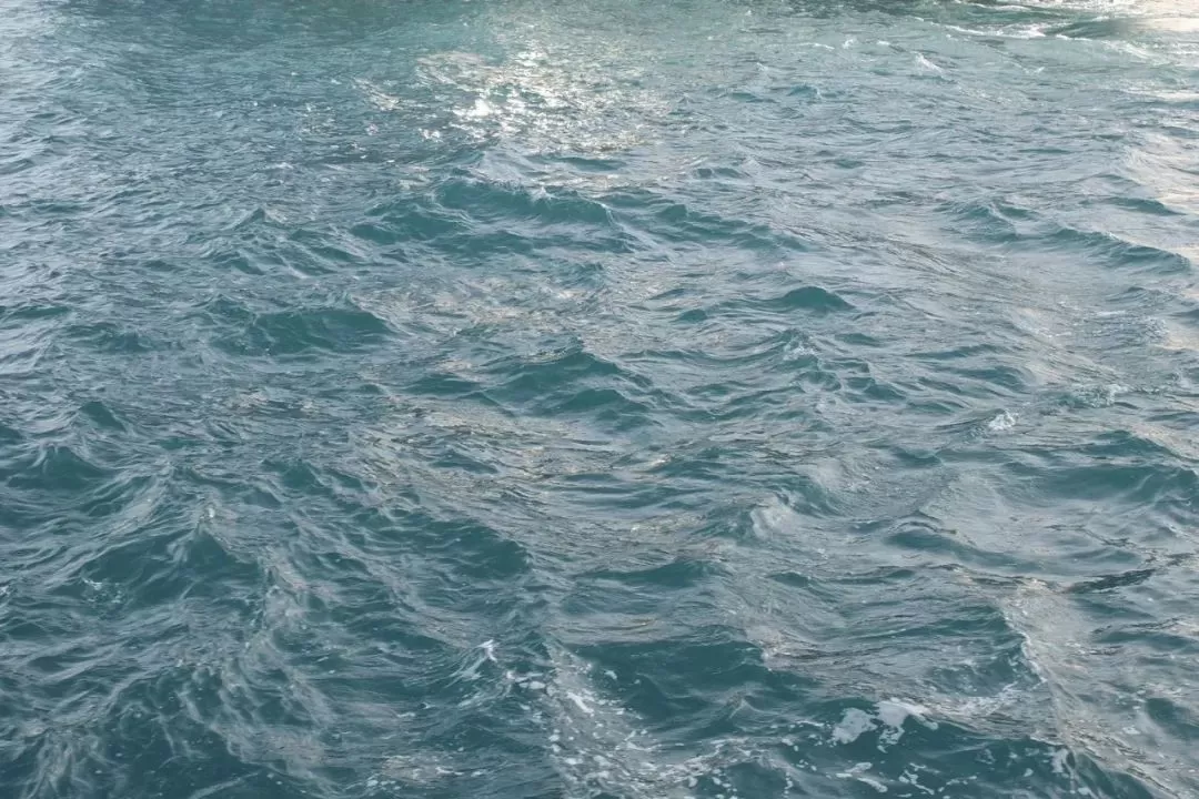 旅游推荐🥇一人游：香港三日游，美好得像一场电影