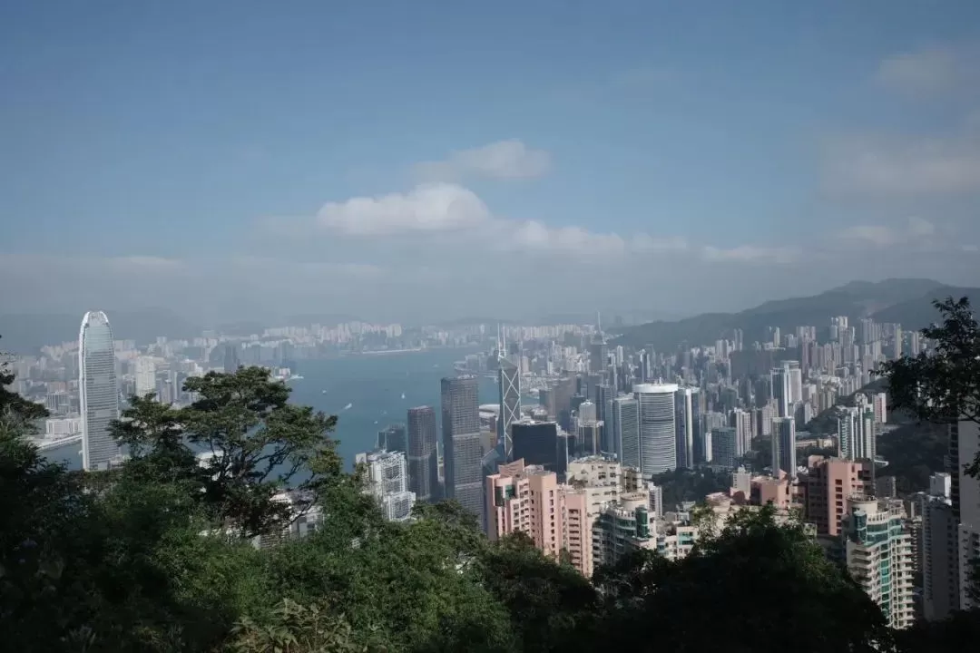 旅游推荐🥇一人游：香港三日游，美好得像一场电影