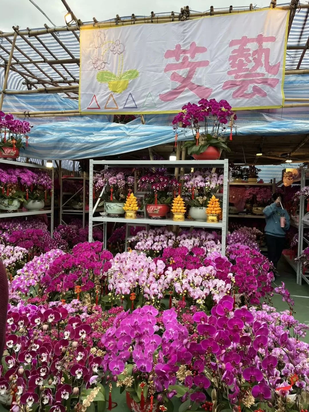 旅游推荐🥇一人游：香港三日游，美好得像一场电影